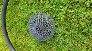 MTB Hinterrad komplett Bild 2