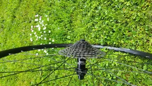 MTB Hinterrad komplett Bild 4