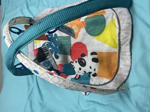 Baby Einstein Spielbogen 