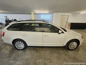 Skoda Octavia 4x4 Bild 3