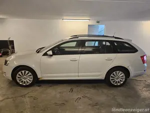 Skoda Octavia 4x4 Bild 4