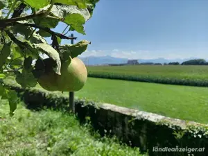 für all deine Erfolge 