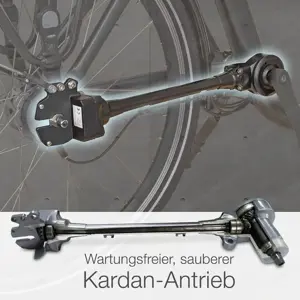 E - Bike Tiefeinsteiger für Senioren Bild 3