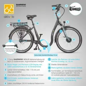 E - Bike Tiefeinsteiger für Senioren Bild 2
