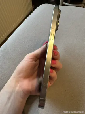 iPhone 15 Pro Max mit 256GB in Titan Natur. Bild 5