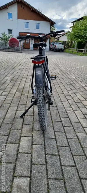 E-Bike Kneissl Carbon Bild 2