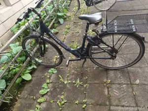 Fahrrad für Damen Bild 2