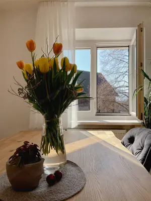 Helle 2,5-Zimmer-Einliegerwohnung im Dornbirner Hatlerdorf   möbliert & bezugsbereit Bild 8