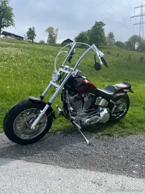 Harlley Davidson EVO