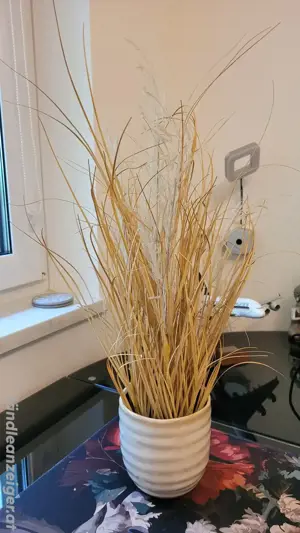 Cremefarbener Blumentopf mit Kunstgras