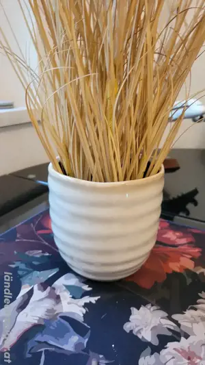 Cremefarbener Blumentopf mit Kunstgras Bild 2