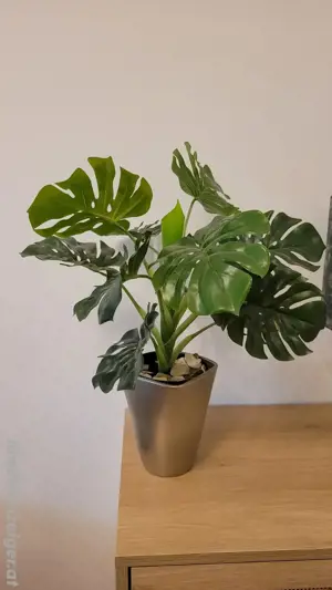 Kleine Monstera Kunstpflanze mit Übertopf