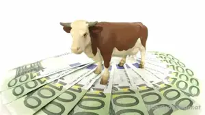 Kreditangebot: Investitionen für Projekte von 10.000   bis 300.000.000  