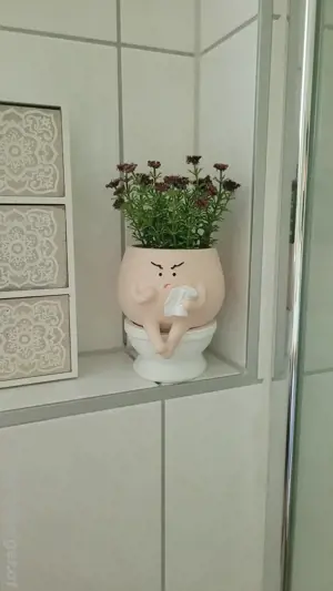 Lustiger Blumentopf