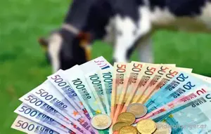Kreditangebot: Investitionen für Projekte von 10.000   bis 300.000.000   