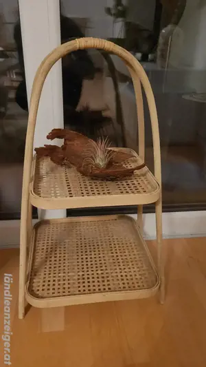 Kleiner Rattanständer Ablage