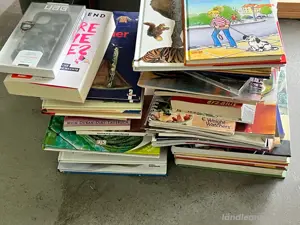 Flohmarkt-Sachen: Bücher, Habdyhülle, Deko