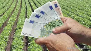 Wir stellen Kredite: Ressourcen und Investitionen zur Entwicklung Ihres Unternehmens und Ihrer Proje
