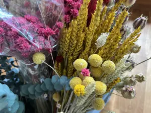 Tolle Trockenblumen zum Basteln und Dekorieren