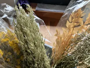 Tolle Trockenblumen zum Basteln und Dekorieren Bild 5