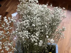 Tolle Trockenblumen zum Basteln und Dekorieren Bild 4