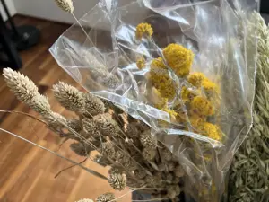 Tolle Trockenblumen zum Basteln und Dekorieren Bild 6