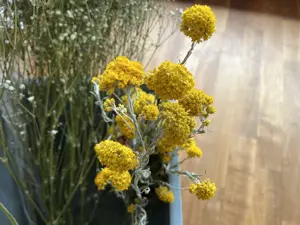 Tolle Trockenblumen zum Basteln und Dekorieren Bild 9