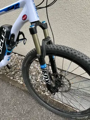 Focus Thron Impulse  Grösse L Bild 3