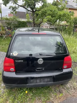 VW Lupo zu verschenken Bild 4