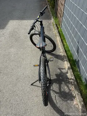 Cube Mountenbike Bild 2