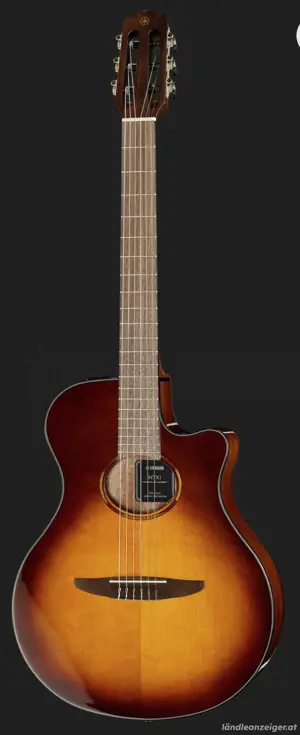Yamaha NTX1 