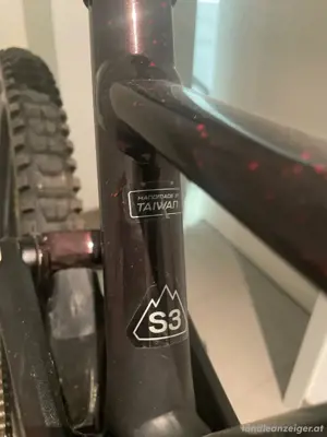 Specialized Demo Race Öhlins Downhill Bild 5
