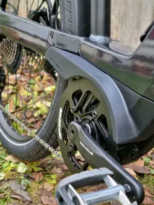 E-Bike Riese&Müller Nevo GT touring 47cm Bild 7