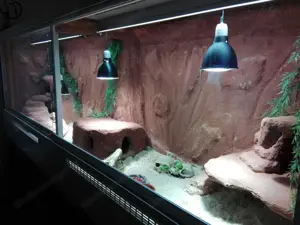 Sehr großes Terrarium zu verschenken