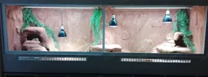 Sehr großes Terrarium OHNE Tiere zu verschenken Bild 2