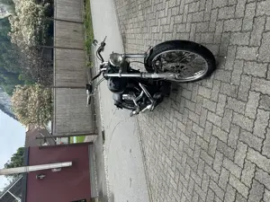 Harley Davidson Softail  Bild 2