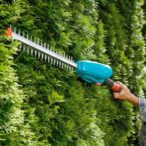 Alle Gartenarbeiten mit langjährigem Profi Bild 2