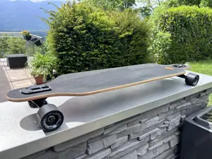 Longboard  Schildktöt 