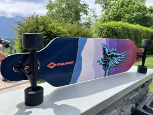 Longboard  Schildktöt  Bild 3