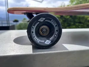 Longboard  Schildktöt  Bild 2