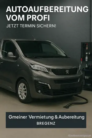 Fahrzeugaufbereitung vom Profi - Glanz wie bei ersten Tag 