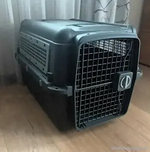 Hundetransportbox  zu verkaufen 