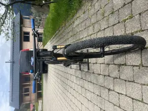 Mountainbike Scott Spark Bild 7