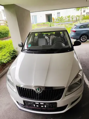 Skoda Fabia Erstzulassung 2010