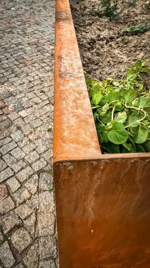  Hochbeet Giardino mit Sitzbank   Gärtnern & Genießen in einem! Edelrost trifft Sitzkomfort.  Bild 4