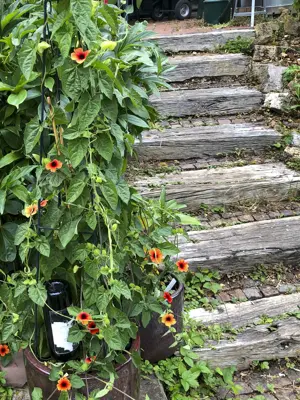 Gartentreppe für den Hanggarten aus Metall   SCALA MODULARE von Viva la Garten Bild 5