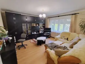 Haus in Ungarn 50 km Österreichische Grenze , mit Obstbäumen, Nebengebäuden Bild 3