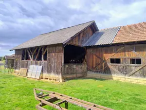 Haus in Ungarn 50 km Österreichische Grenze , mit Obstbäumen, Nebengebäuden Bild 8