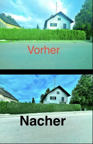  Gärtner , Heckeschneiden ,  Gartenarbeit  trimmen Unkraut jäten mähen Garten Hilfe   Bild 2