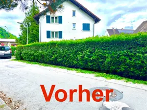  Gärtner , Heckeschneiden ,  Gartenarbeit  trimmen Unkraut jäten mähen Garten Hilfe   Bild 5